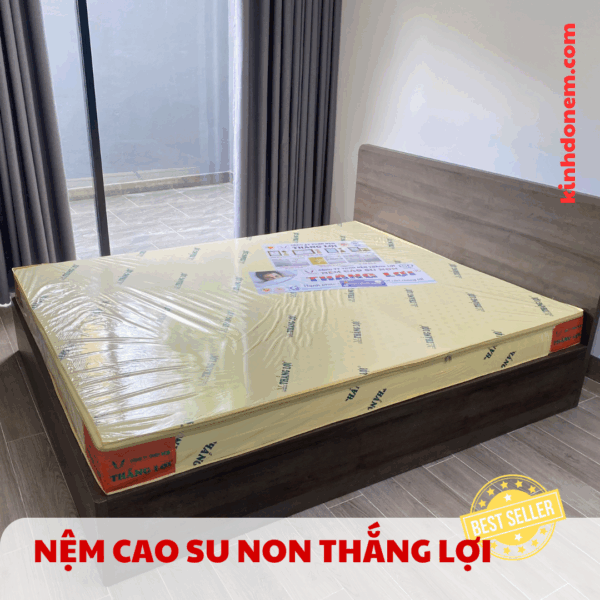 Nệm cao su non Thắng Lợi