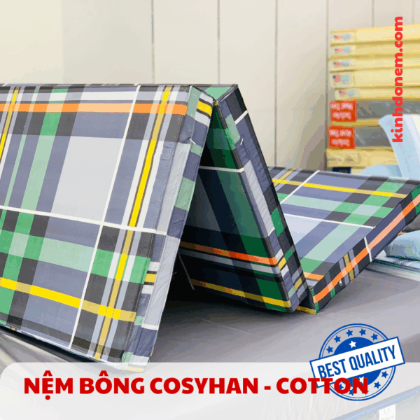 Nệm bông ép Cosyhan - Áo cotton