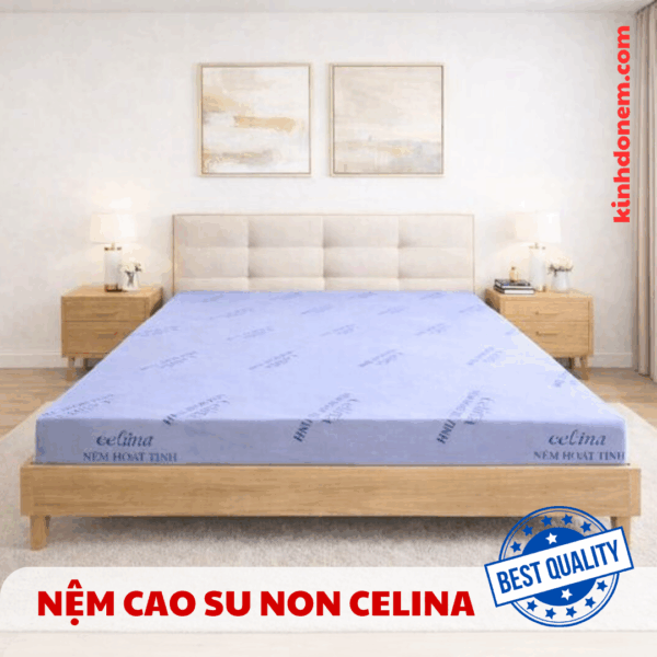 Nệm cao su non Celina Bedding