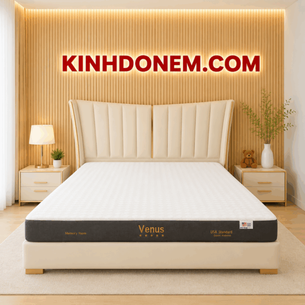 Nệm Foam Xuất Khẩu Venus Việt Mỹ cao cấp hỗ trợ nâng đỡ cơ thể