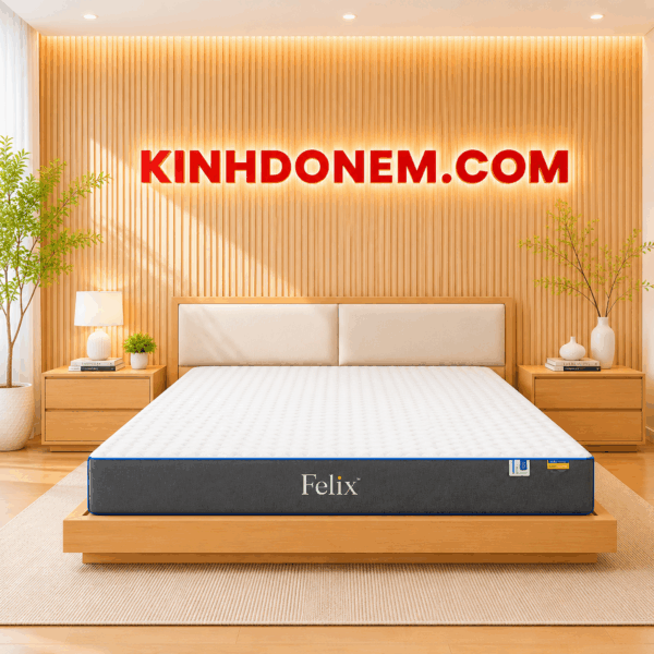 Nệm cao su thiên nhiên Felix than hoạt tính cao cấp thoáng khí khử mùi nâng đỡ cơ thể êm ái